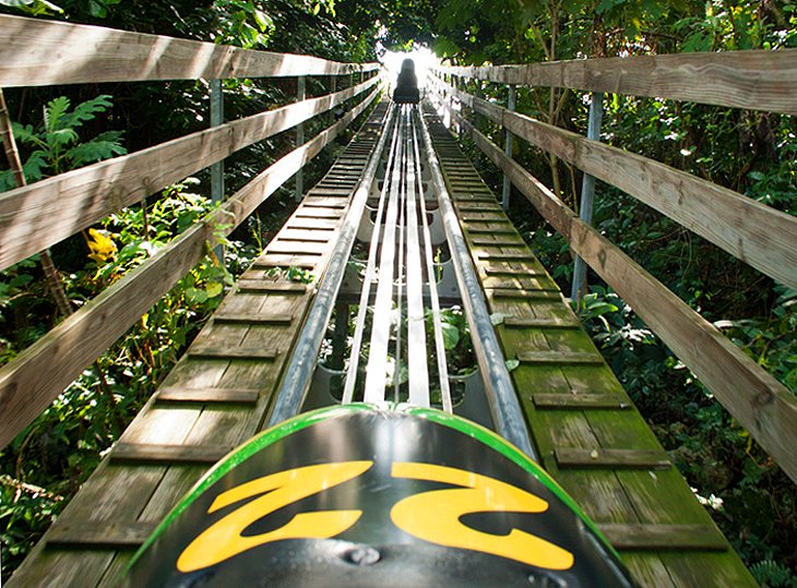 Rainforest Adventures Mystic Mountain, Ocho Rios