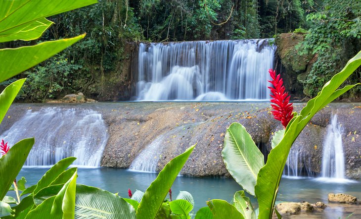 Black River Safari Boat Tour and YS Falls